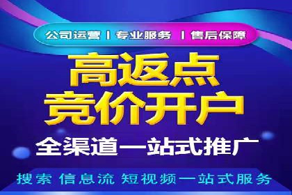 SEM代运营经典案例解析与启示